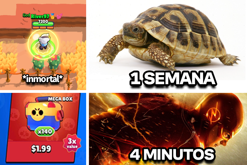 TH | River tweet media