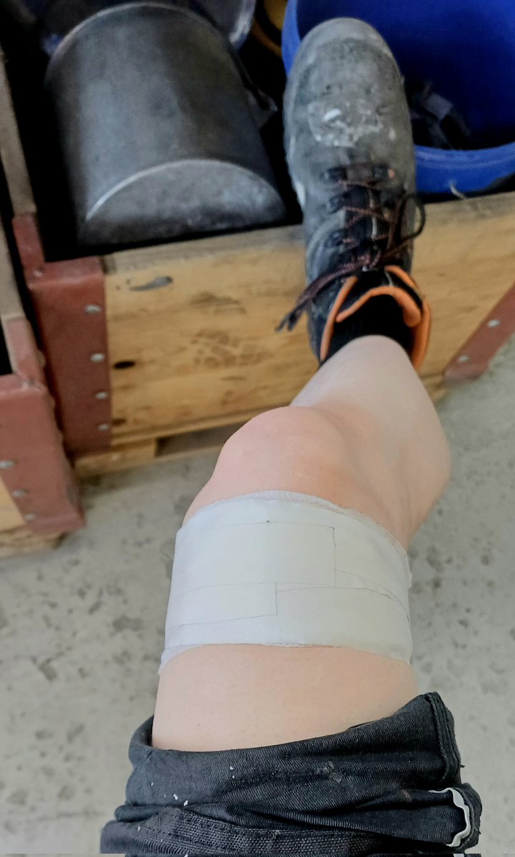 L'abominable Lisa 🏳️‍⚧️ tweet media