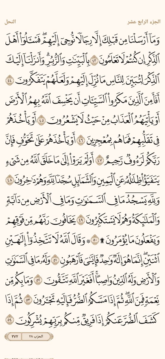 الورد اليومي tweet media