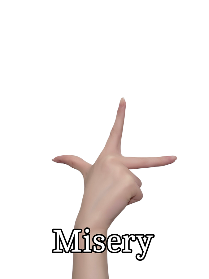 ロージークロニクル tweet media