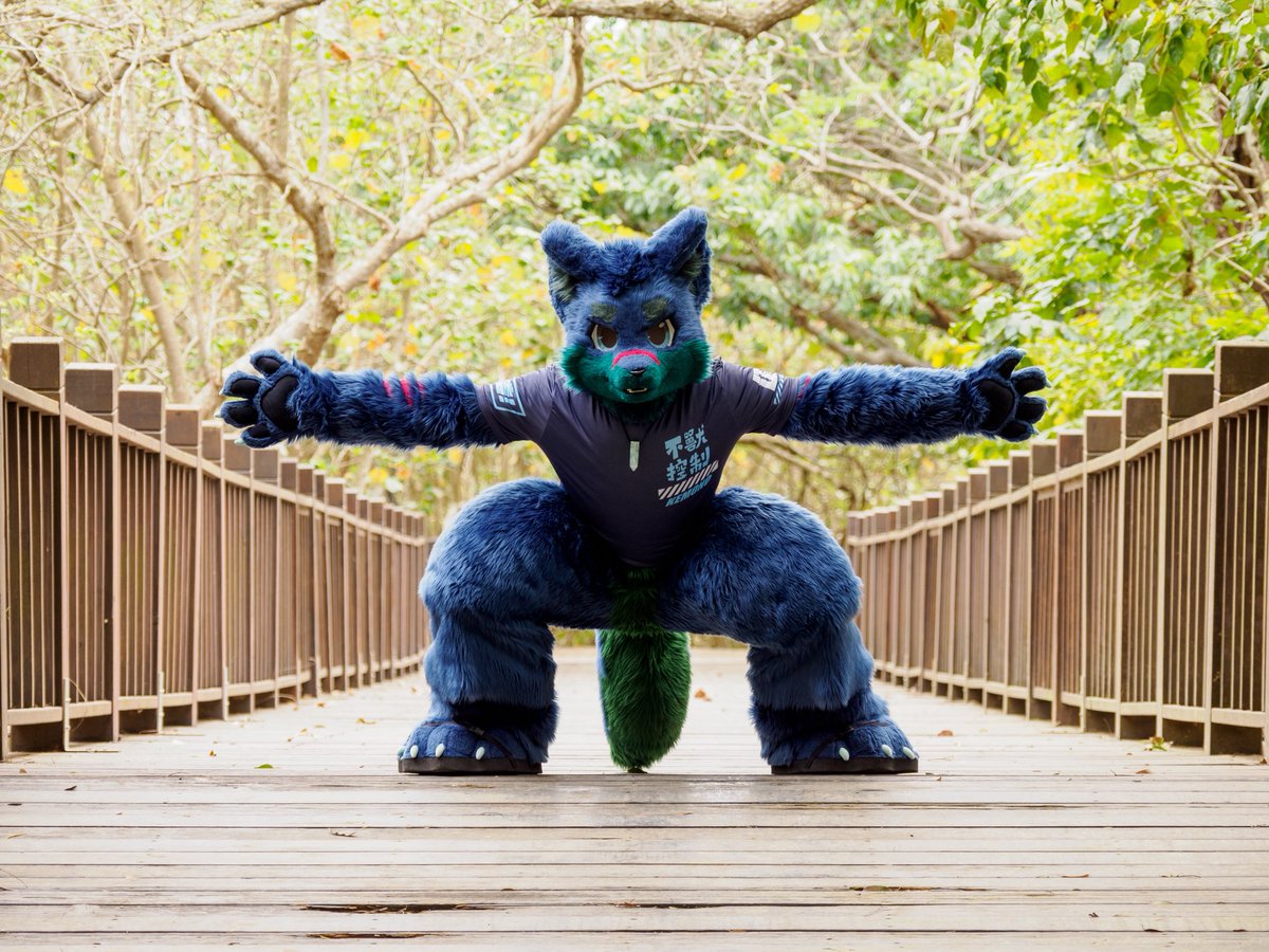 CT the Wolf➡️UTFG tweet media