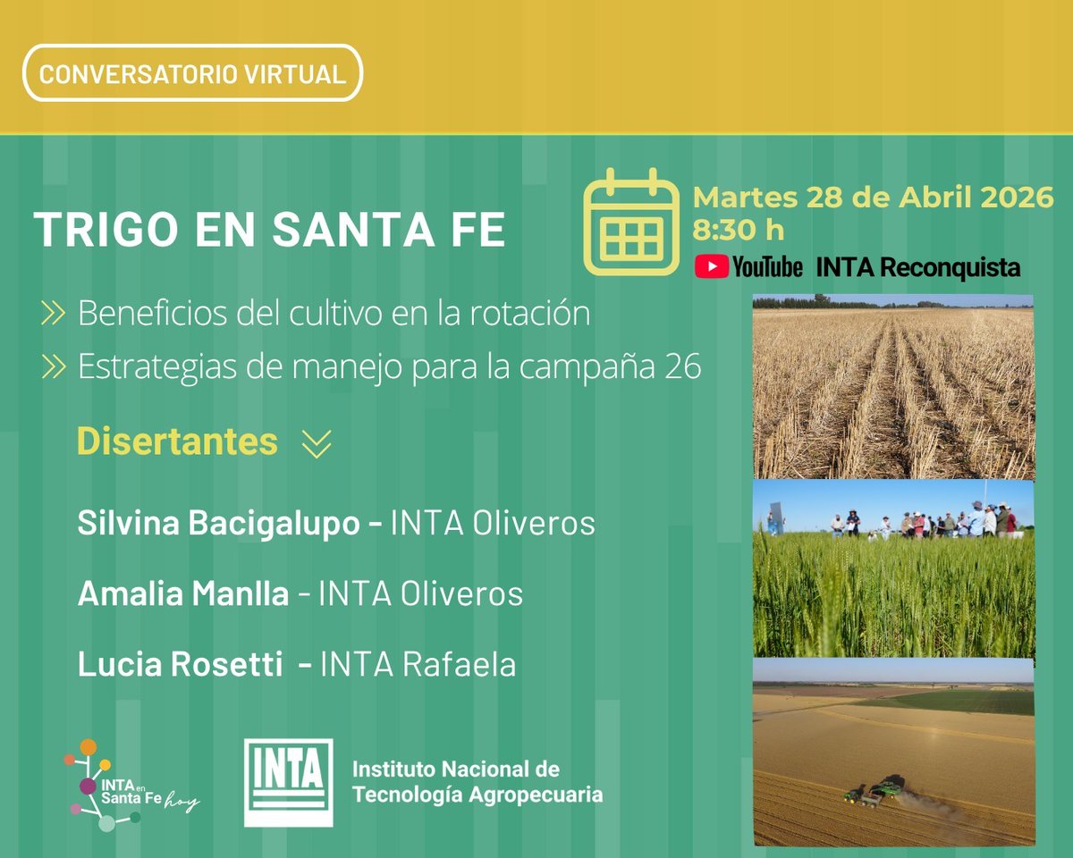 INTASANTAFE's tweet photo. Se viene el conversatorio 👇
🌾 Trigo en Santa Fe
Un espacio para analizar el rol del cultivo en los sistemas productivos y pensar la próxima campaña.

🔎 Beneficios del trigo en la rotación y estrategias de manejo para la campaña 2026
📅 Martes 28 de abril🕣8.30 h https://t.co/moMPLZl9mI