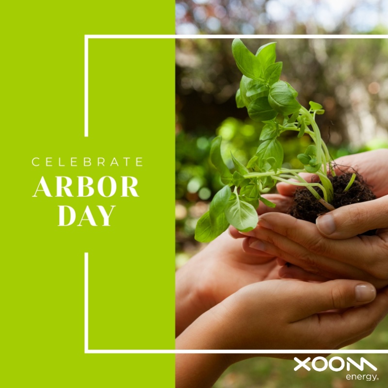 Happy Arbor Day!  
Today we’re celebrating the trees that keep our air clean, our neighborhoods cool, and our planet thriving.
Tap into a greener home and a greener planet — one tree at a time. 
bit.ly/4rWsueM