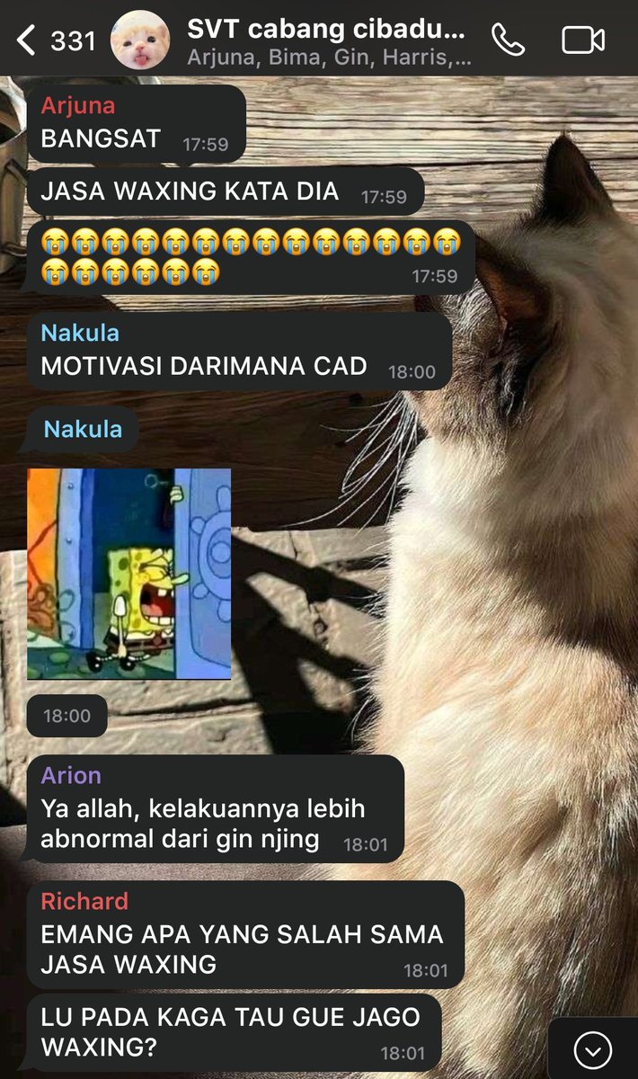 ℛu k/ia ۶ৎ tweet media