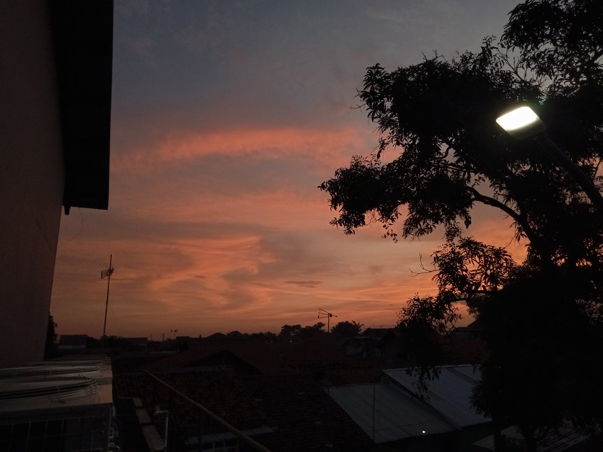 Miaaaaaa tweet media