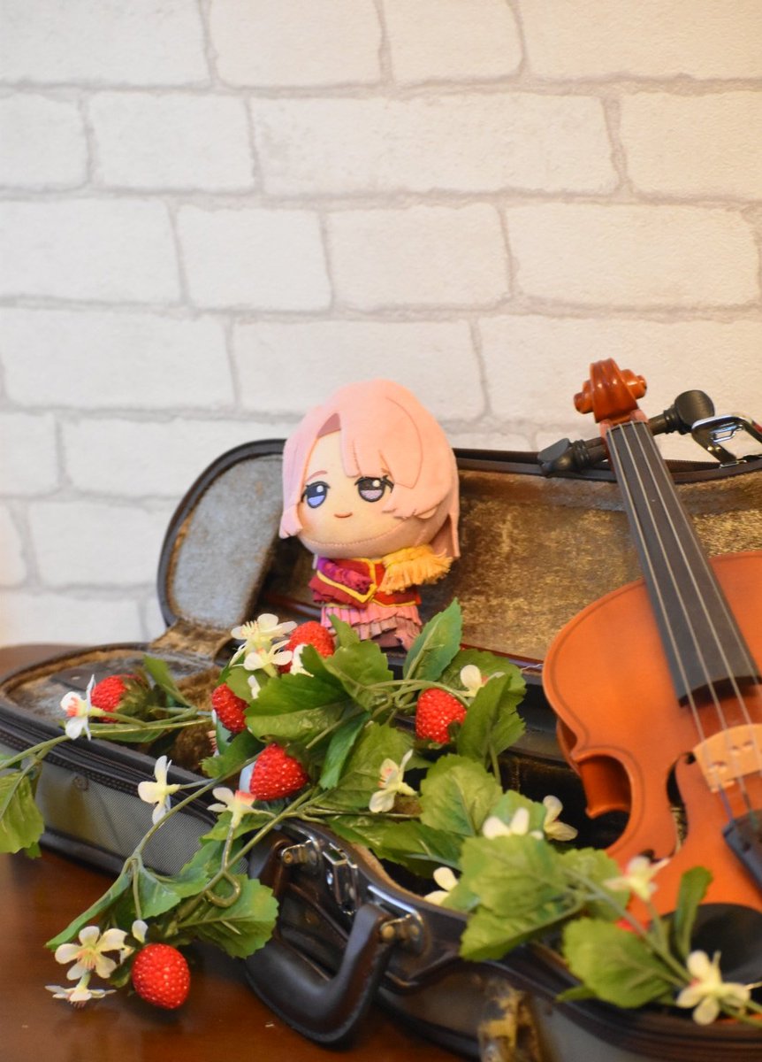 studio Edelstein(スタジオ エーデルシュタイン) tweet media