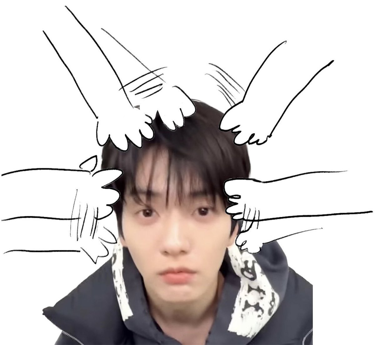 코야 tweet media