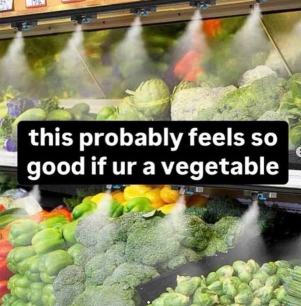 Thy 🎈 tweet media