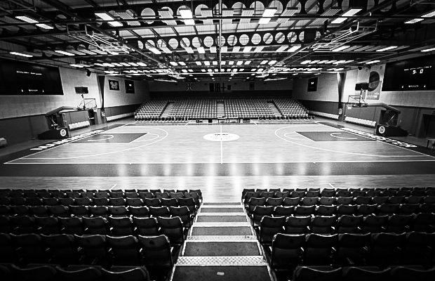 Worcester Wolves tweet media