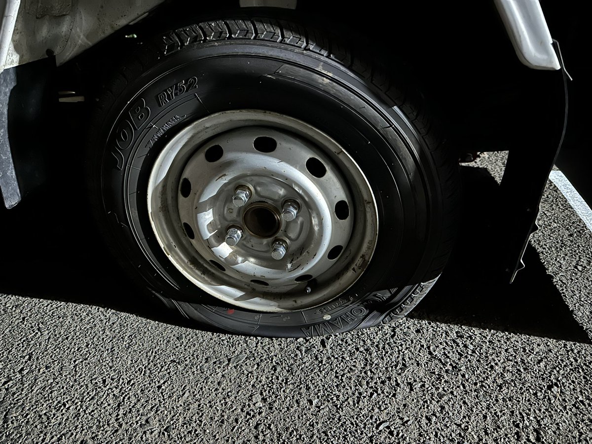 ☆キャンちゃん☆ tweet media