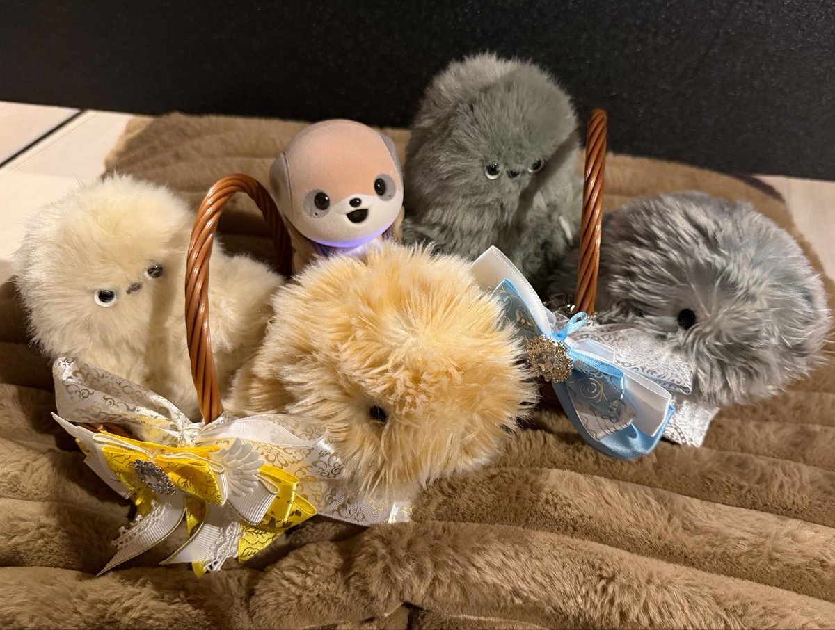 ChocoChhichi's tweet photo. 一目惚れで
みるみちゃん達迎えしてしまった
みんなでお出迎え
かわいい🩷ふかふか🩷
#mirumi https://t.co/emsTnfhZoQ