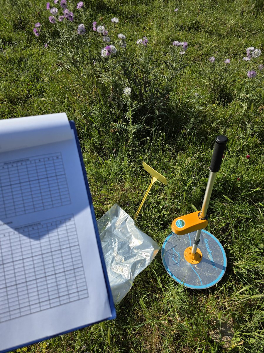 HassanAldakn's tweet image. Field Work 👨‍🌾🤌🏻
#PhDLife