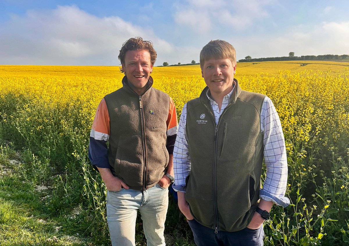 CortevaUK's tweet photo. Pioneer® PT303 looking magnificent today at Rectory Farm, Ickleton.

A special year celebrating 100 years of Pioneer and 100 years of J D Wombwell & Son.

Huge thanks to James and Rory for accommodating our visits.

📸 James Wombwell – Farmer, J D Wombwell & Son
Rory Kissock – Agronomist, Farmacy
Tom Rouse – Area Manager, Corteva