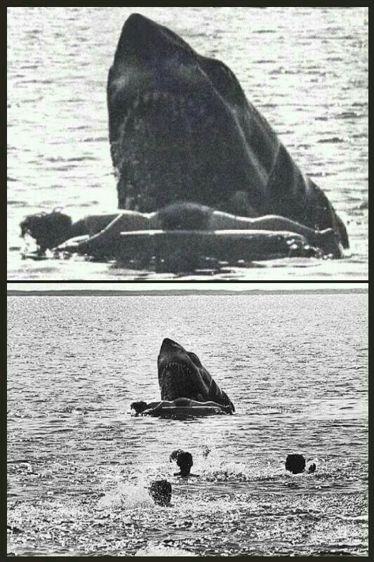 Dyerbolical Horror (☥𝐃𝐁) tweet media