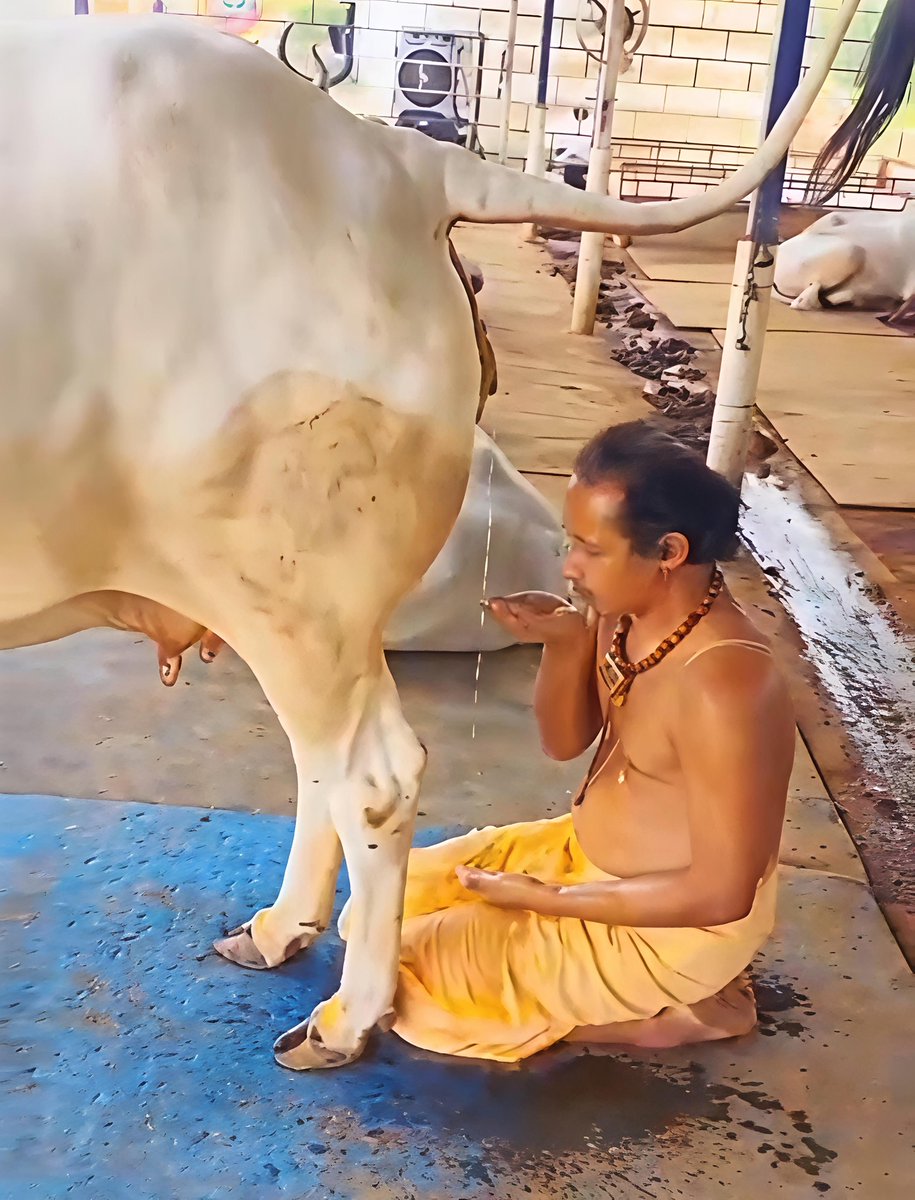 Maryam PTI 🇵🇰 tweet media