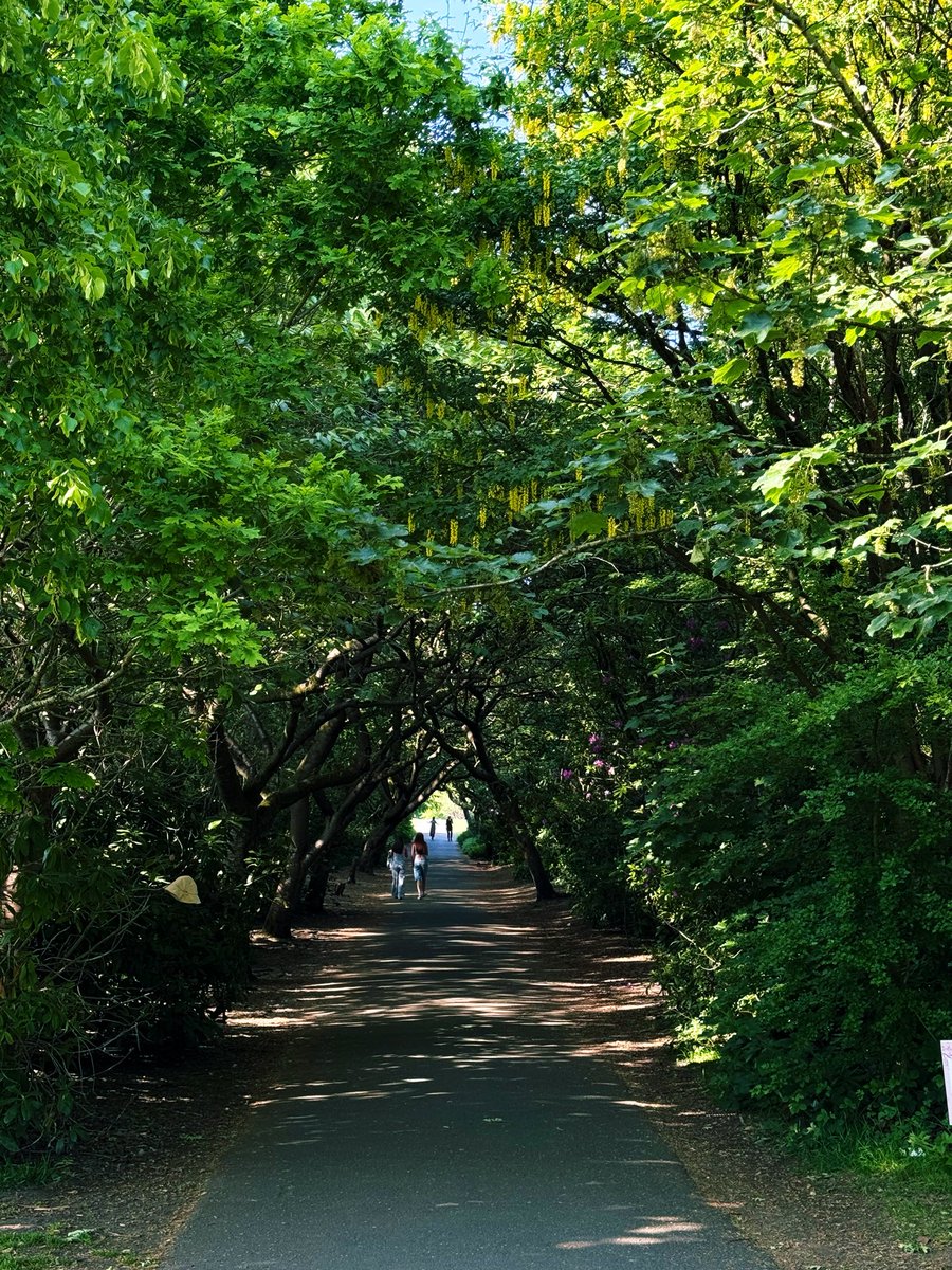 Jocaccia tweet media