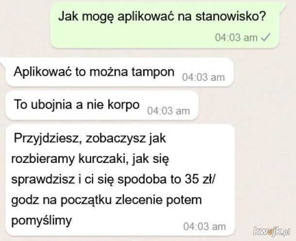 Kari tweet media