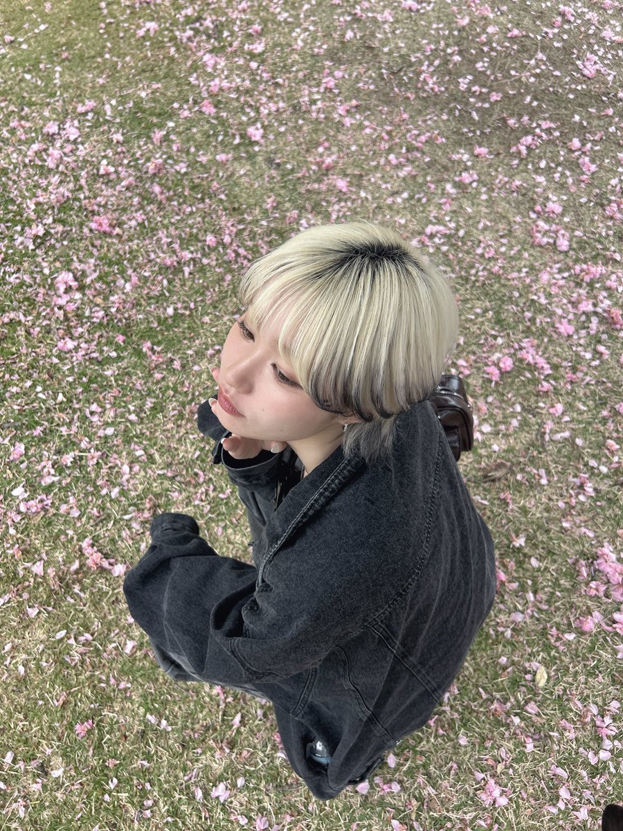 春炬燵 tweet media