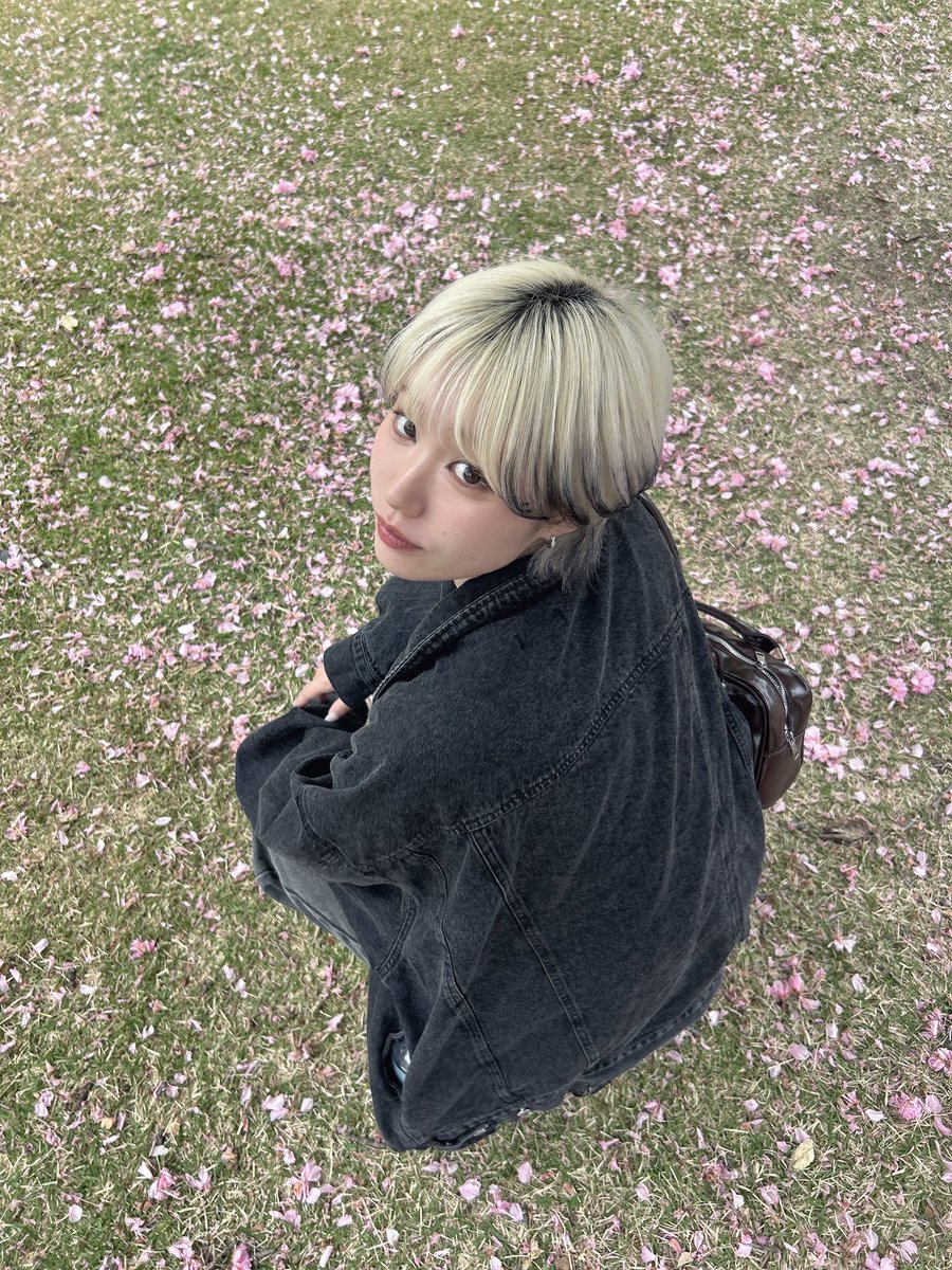 春炬燵 tweet media