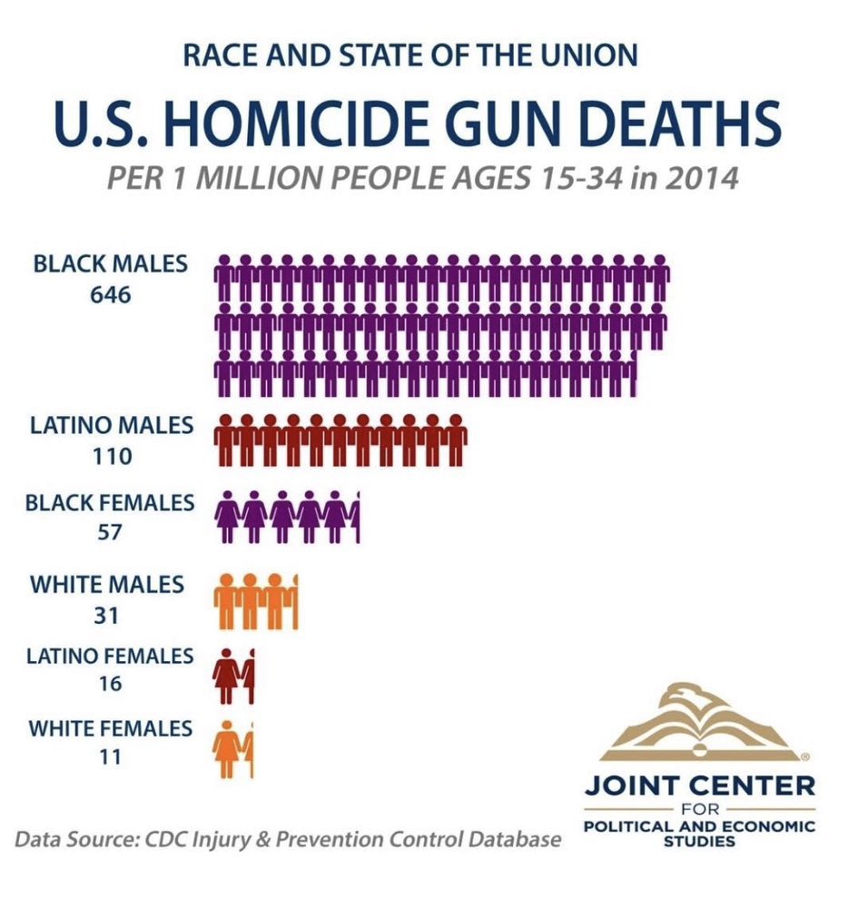 🇺🇸 Bull Moose American 🇺🇸 tweet media
