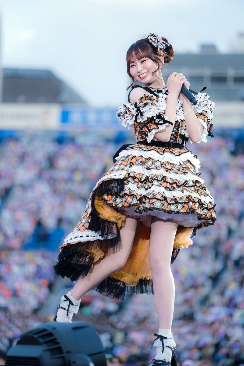 マイスター tweet media