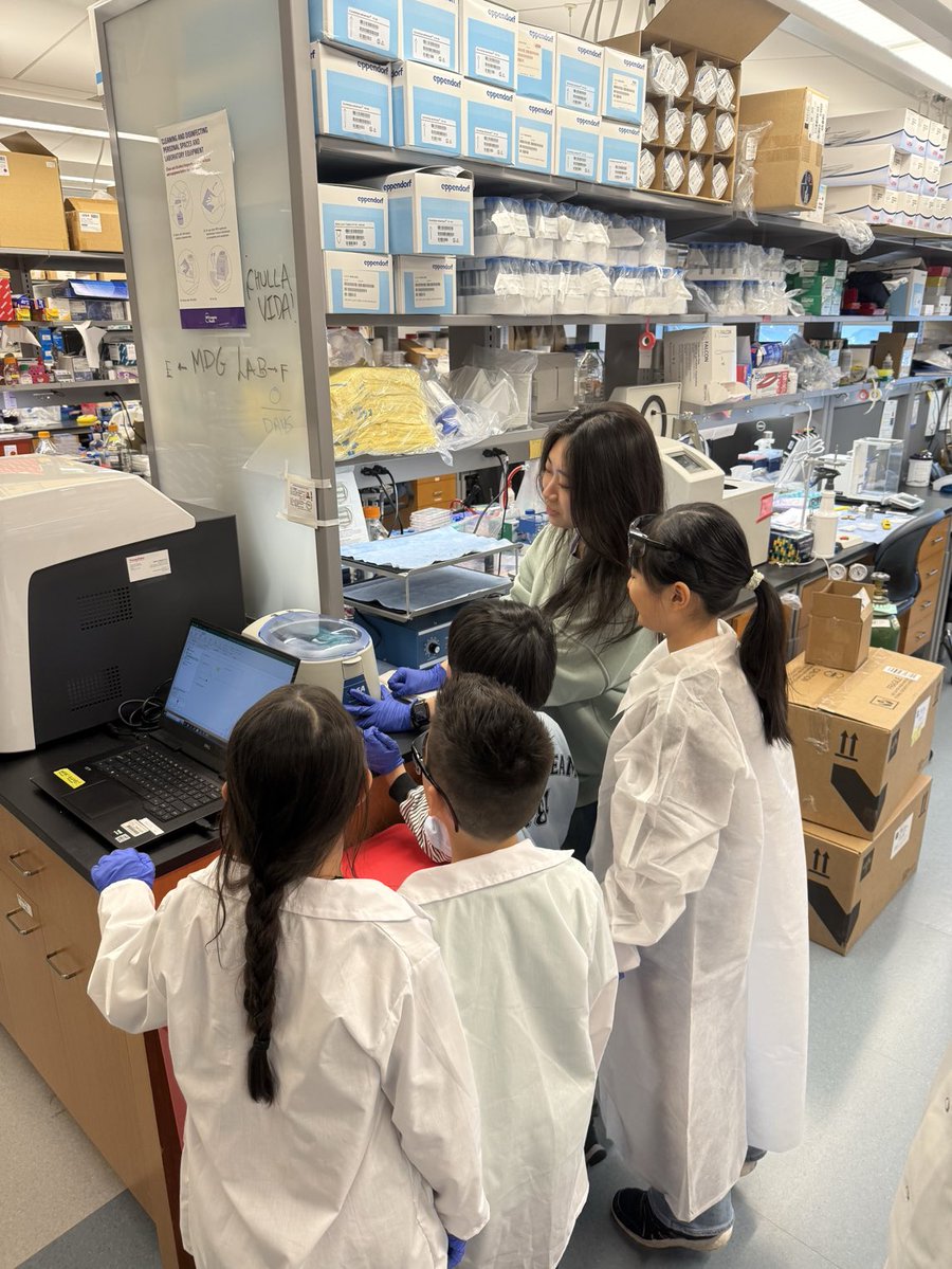 Marcus Goncalves tweet media