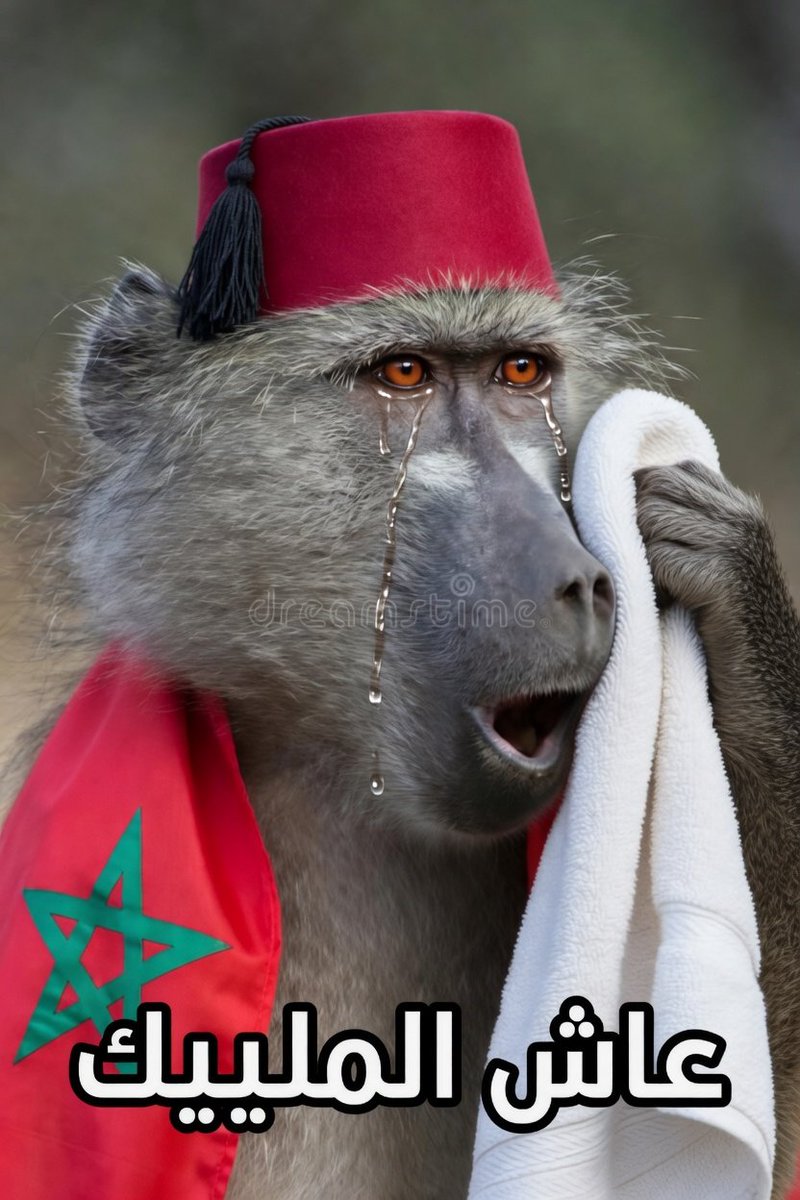 Master Tea tweet media