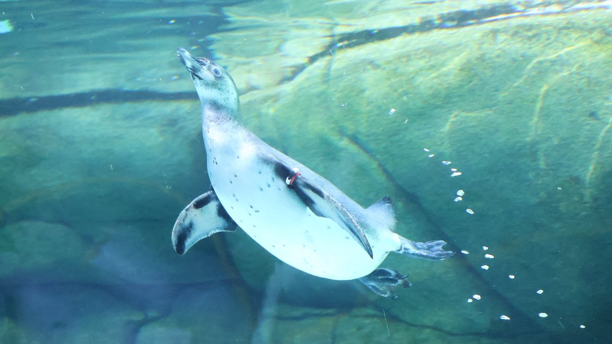 mi4🤍🖤 tweet media