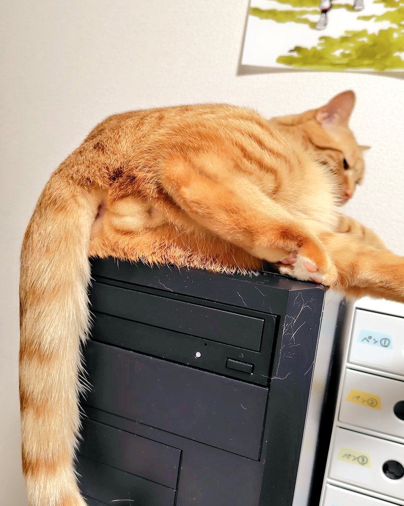 福嶋ユッカ tweet media