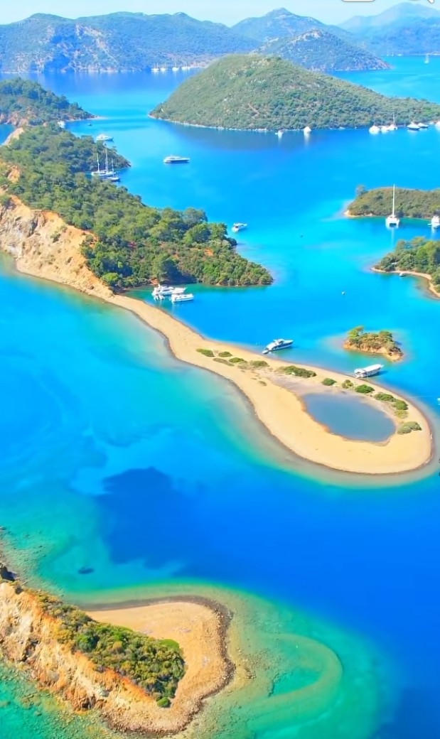 MAH -ANA tweet media