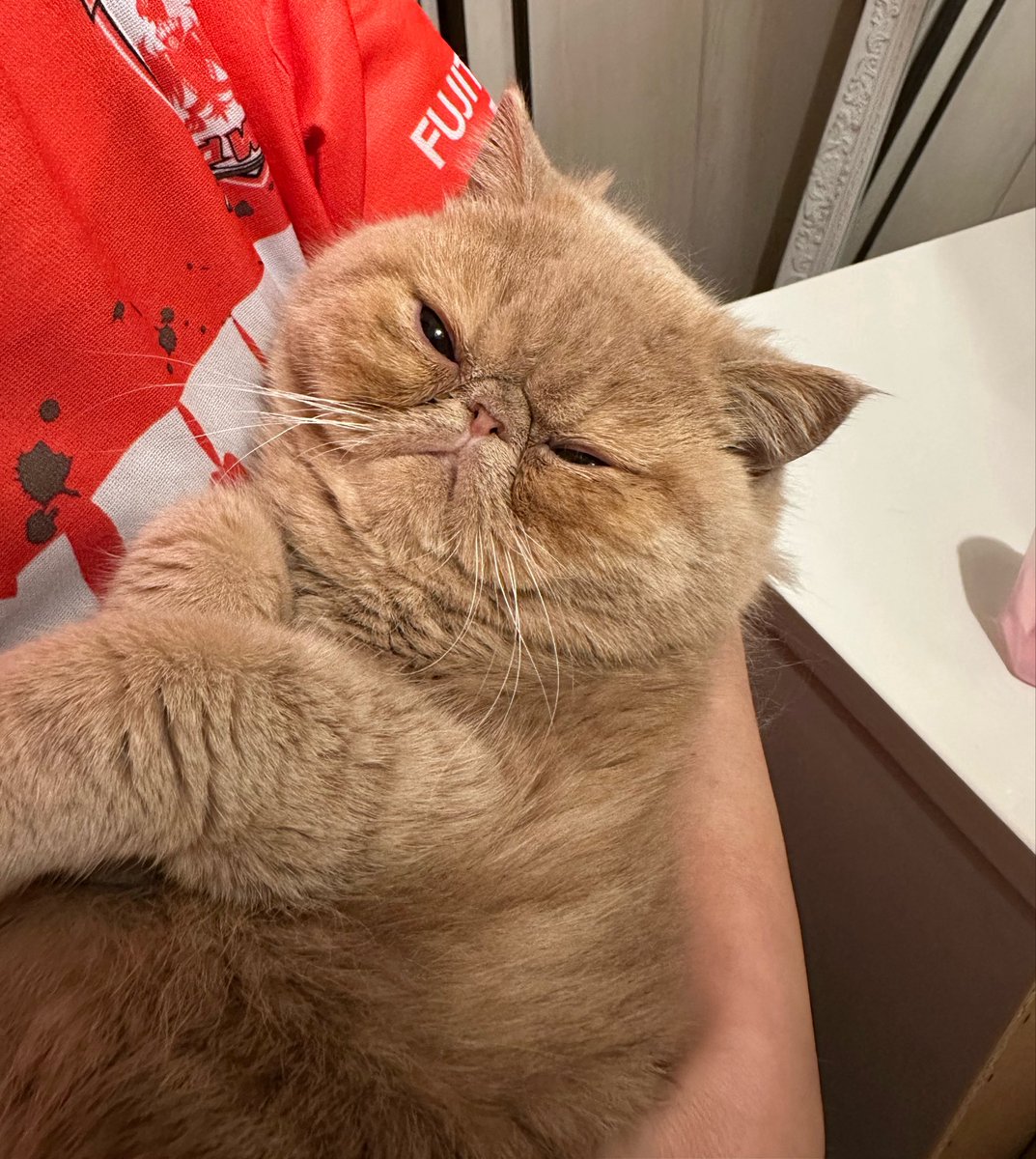 あまたんの日常 tweet media