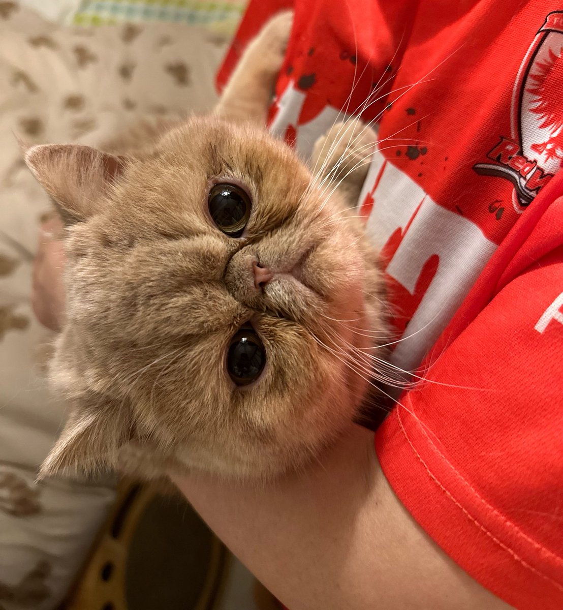 あまたんの日常 tweet media