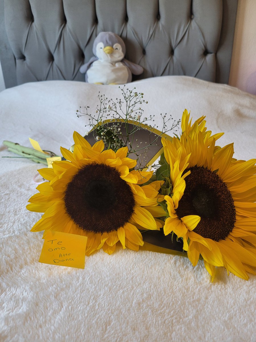 izbarnizcodrniz's tweet photo. Esa mujer me ama 🥹🥰🌻❤️‍🩹 https://t.co/1HzdF5ubhP