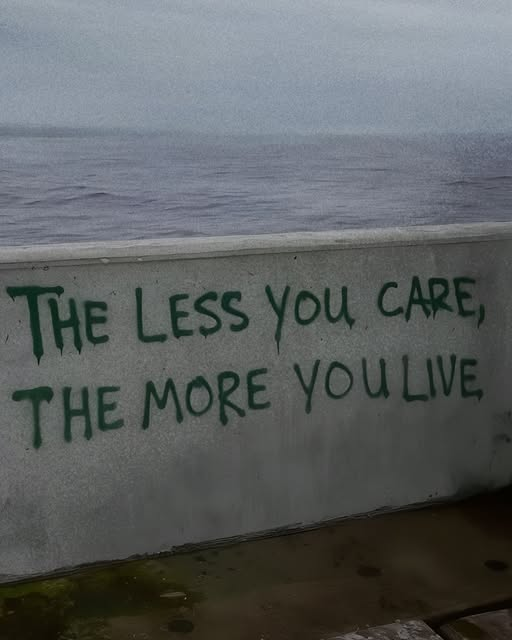 Maxwell 🕊 tweet media