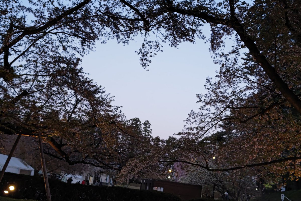 野本豚野郎 tweet media