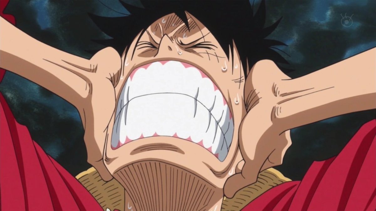 One Piece Wiki Admón. tweet media