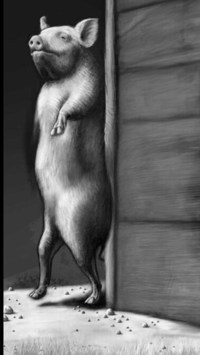 andiness ⚙️ tweet media