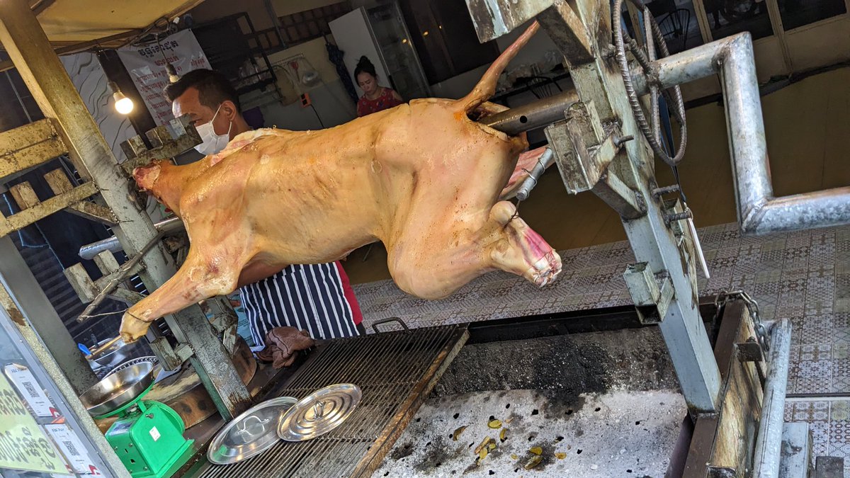 麦子仲肥 tweet media