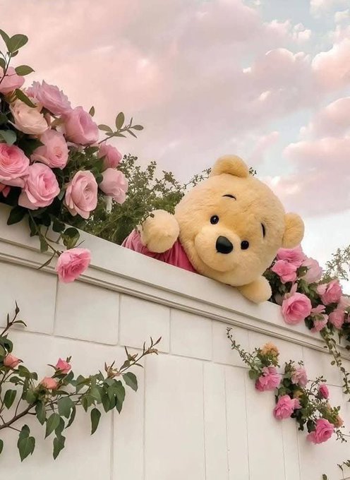 شاعر الغلابه tweet media