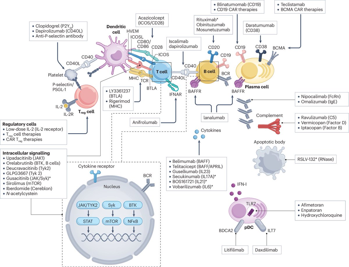 Systemic lupus erythematosus is one autoimmune disease for which CAR-T cell therapies have shown substantial promise in clinical trials. Find out more about therapeutic advances for lupus in this comprehensive review 
rdcu.be/ffcqI
nature.com/articles/s4157…