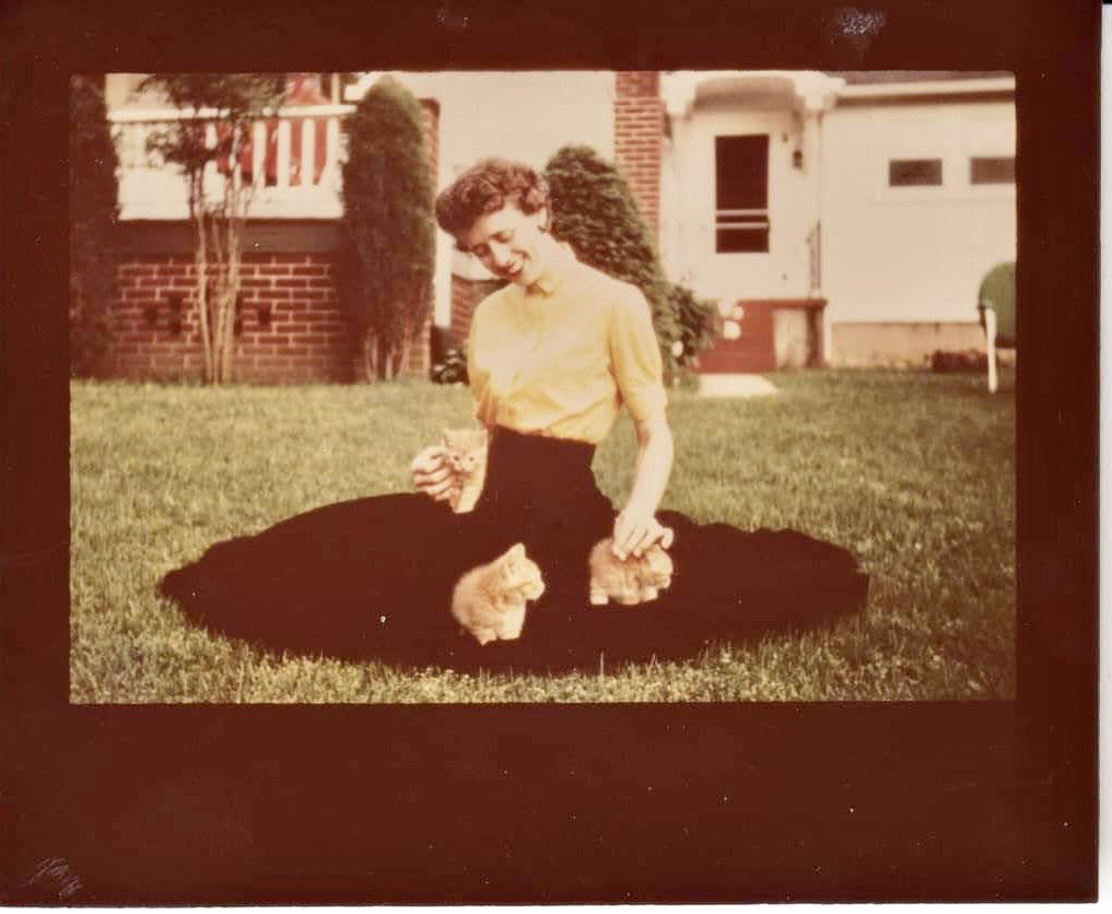 Knight8950's tweet photo. 3 years ago today - My mom went home. I know you are singing with the angels and sitting on the front porch in your favorite rocking chair sharing stories with Grannie and Grandad.  ❤️ https://t.co/YXnSAy8QzA