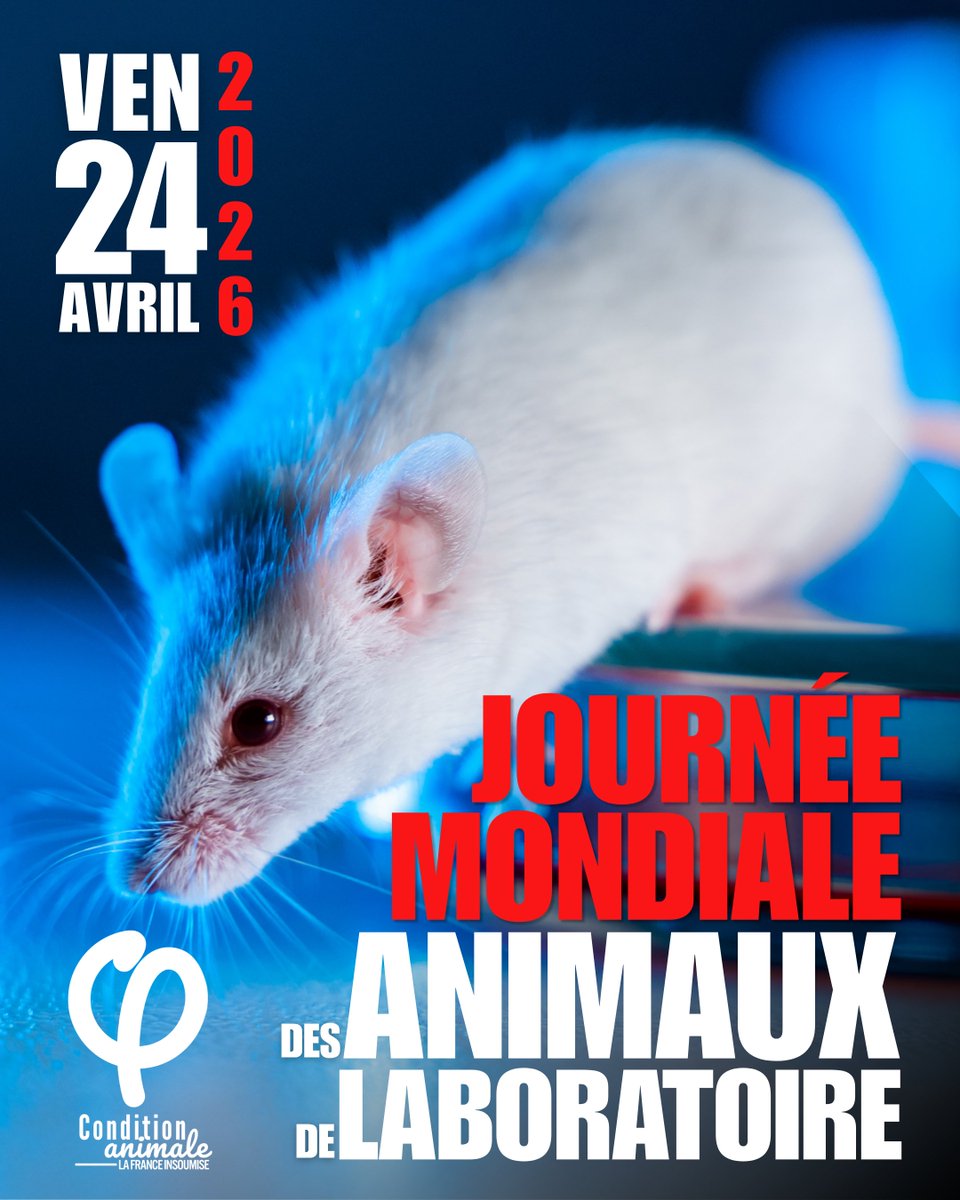 Condition animale - La France insoumise 🐢 tweet media