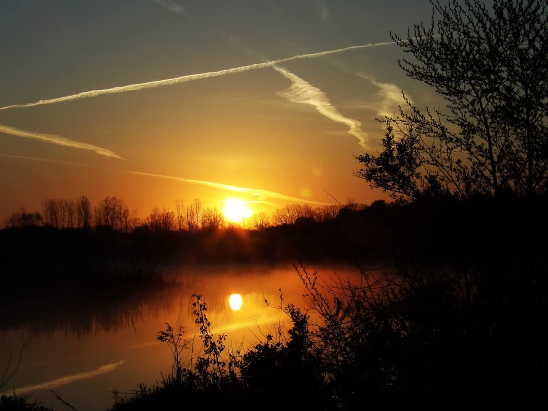JNU411's tweet image. ☀️🙏🇺🇲☕☮️ 
#Pennsylvania #Peaceful #Reflection