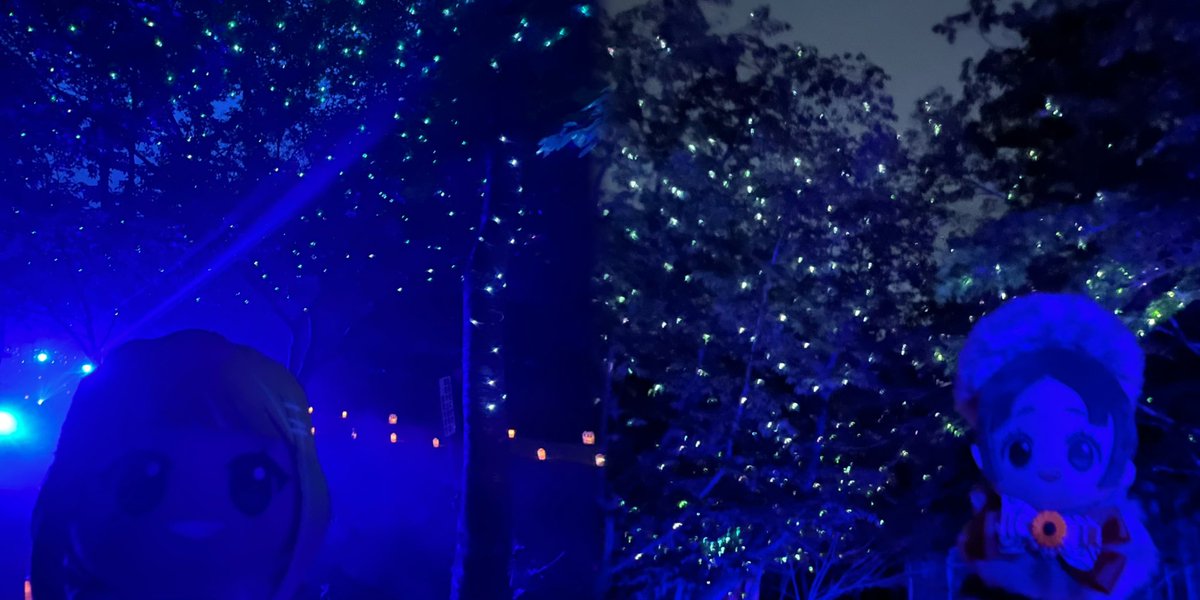 千代。 tweet media