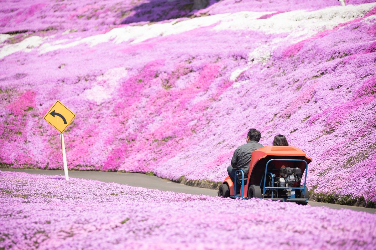 Viajar a Japón tweet media