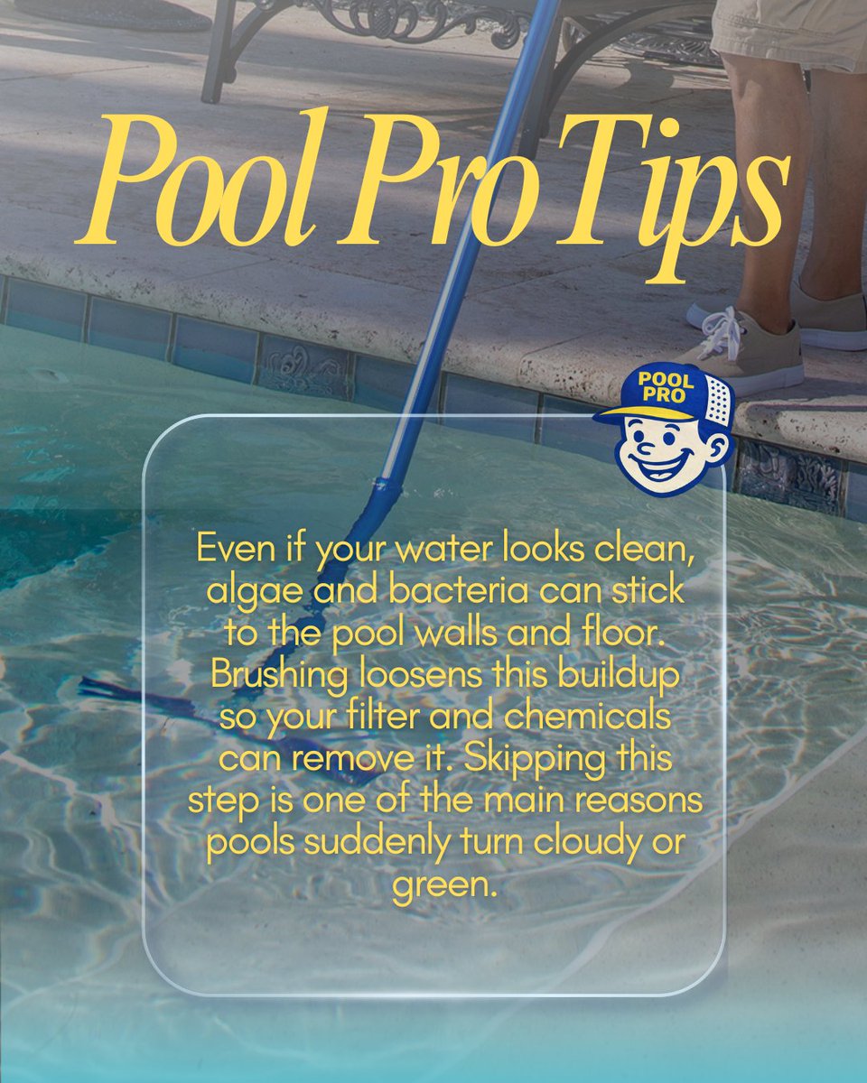 Pool Pro tweet media