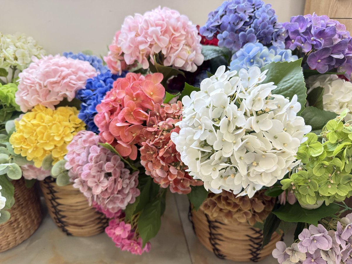 Phan Ứng Đạt | Andy tweet media