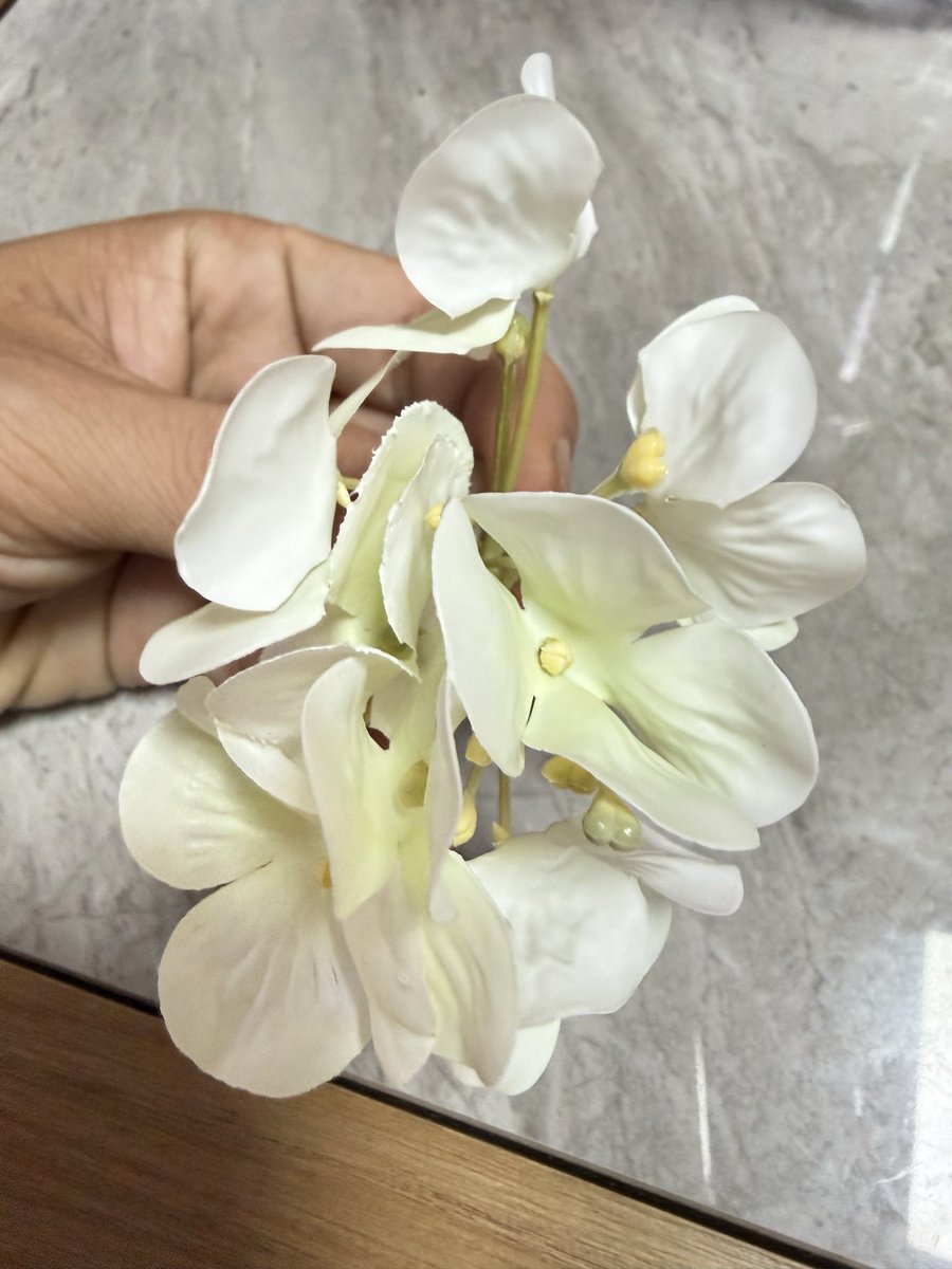 Phan Ứng Đạt | Andy tweet media