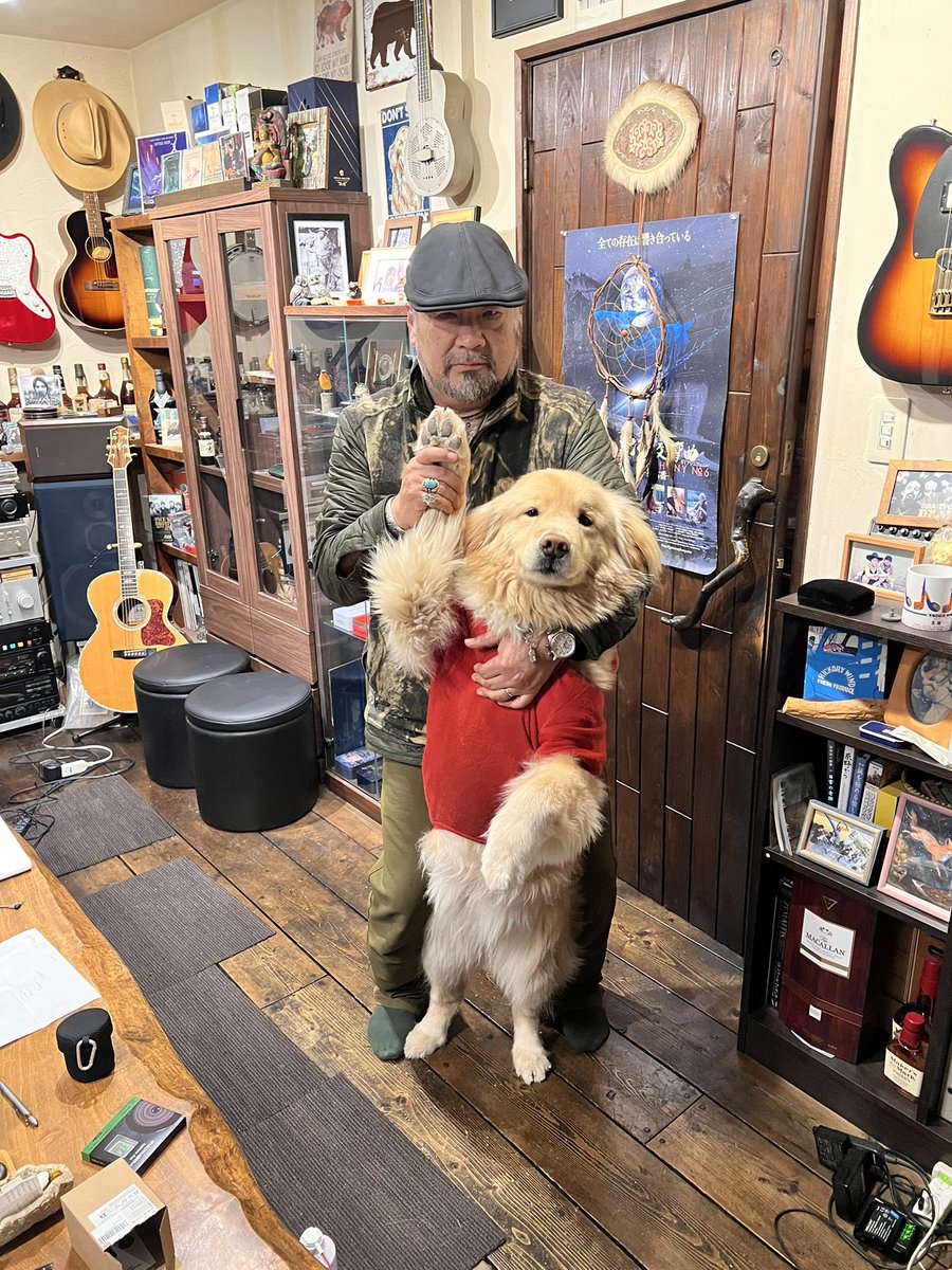 ディッパー tweet media