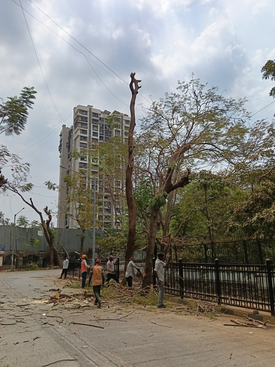 Noorie Shaw tweet media